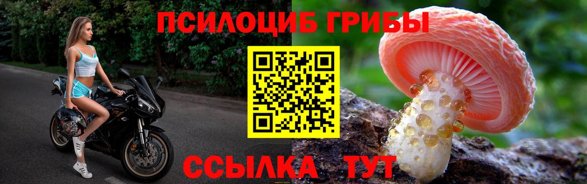 Псилоцибиновые грибы прущие грибы Лысьва